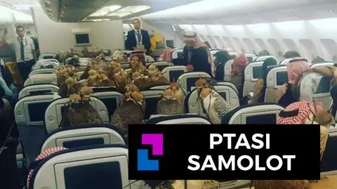 Ptasi samolot