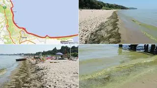Zakaz kąpieli obowiązuje na niemal wszystkich Trójmiejskich plażach