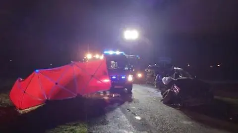 Młynik-Drzewce: Wjechał w drzewo, zginęła 12-letnia dziewczynka