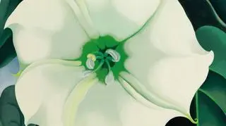 Obraz "Jimson Weed/White Flower No. 1" Georgii O’Keeffe został sprzedany za 44,4 mln dolarów