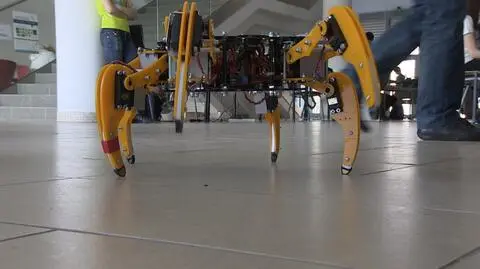 Najlepsze roboty potrafią nawet ułożyć kostkę Rubika