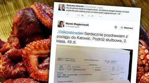 Wymiana zdań o ośmiorniczkach na Twitterze