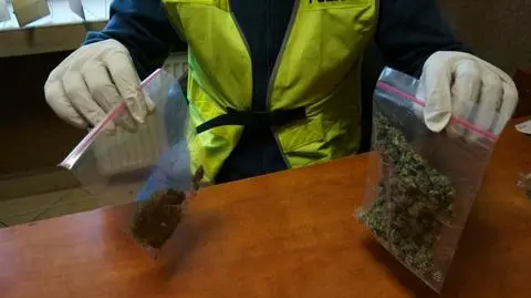 Zatrzymany za posiadanie marihuany wyjaśniał policji, że leczy astmę