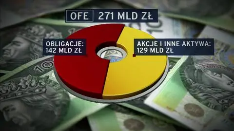 Polacy będą musieli zadecydować 