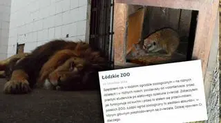 Bloger krytykuje łódzkie zoo