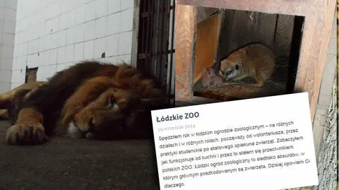 Łódzkie zoo oczami byłego pracownika: alkohol, niewyszkoleni pracownicy, wystraszone zwierzęta
