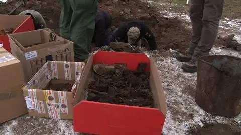 Perkun szuka powojennych pamiątek