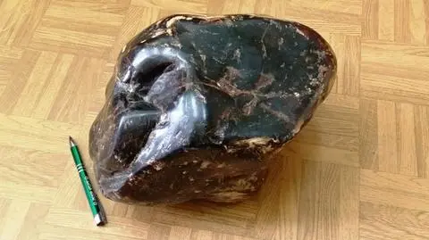 Skradziony 8,5-kilogramowy bursztyn znaleziony w lombardzie