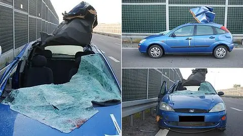 Zwierzę rozerwało dach samochodu