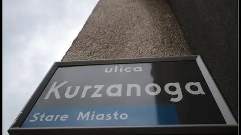 Kurzanoga, Abisynia i Przepadek, 
czyli "Nazewnicze zabytki Poznania"