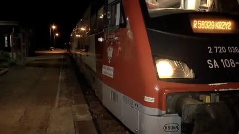 Wielkopolska: Konie wpadły pod szynobus, nie przeżyły