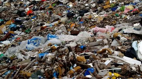 Nasze drogie śmieci