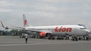 Samolot indonezyjskich linii lotniczych Lion Air zderzył się z krową
