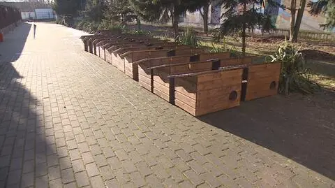 Koty dostaną swoje domki. Są drewniane i ocieplane