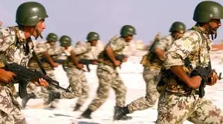 Kair zapowiedział, że pozbędzie się terrorystów z Synaju