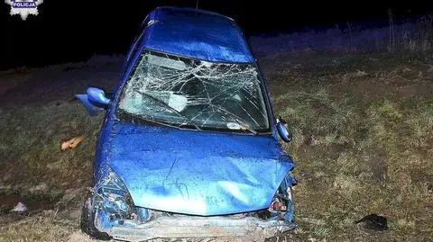 Lubelskie. Po alkoholu wjechała do rowu. Z matką jechało dziecko