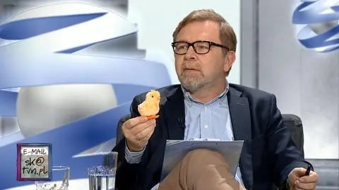 W studiu pojawiła się kaczka
