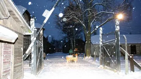 115 tys. za pomoc w znalezieniu napisu