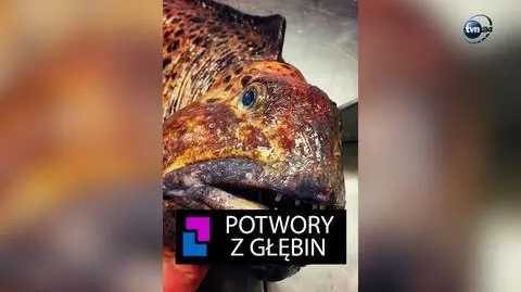 Potwory z głębin