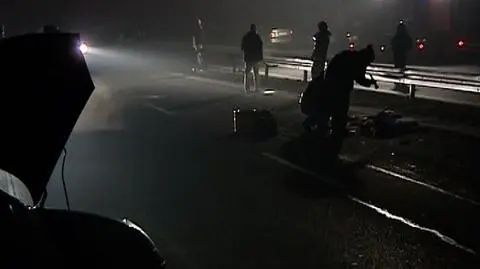 Sosnowiec: Dwie osoby zginęły pod kołami