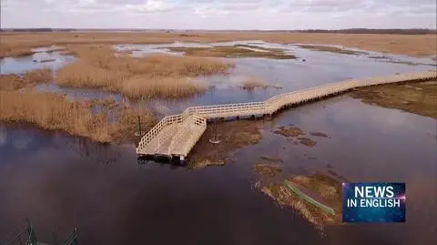 Owing to its picturesque landscapes the Narew National Park is often called "the Polish Amazon"