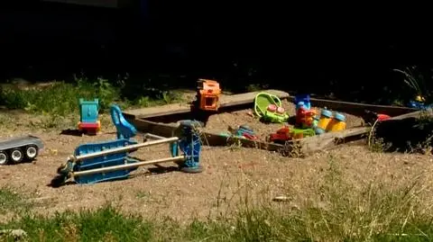 Psychologowie o systemowych problemach pomocy socjalnej w Polsce