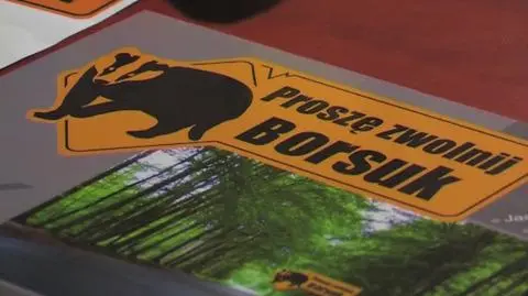 Wój postanowił chronić borsuki