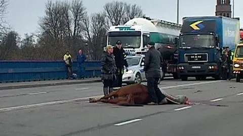 "Usłyszelismy strzał. To jest chore"