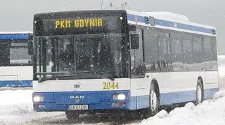 Niskopodłogowy trolejbus w Gdyni 
