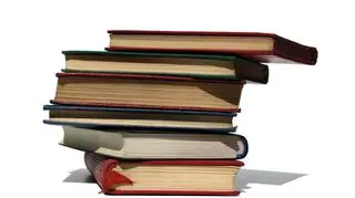 Nastolatek kradł głównie lektury szkolne