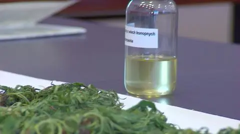 Medyczna marihuana pojawi się na półkach polskich aptek?