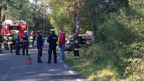 Uderzył w drzewo, zginął w płomieniach
