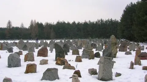 Materiał "Polska i Świat" o badaniach Brytyjczyków