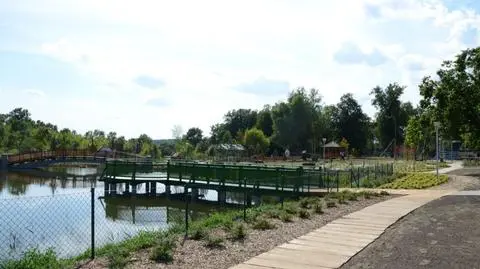 Staw w środku parku