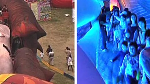 Guliwer nauczy anatomii