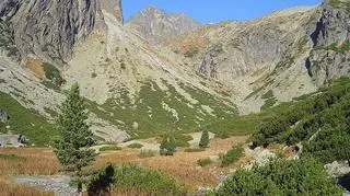 Mężczyzna zginął w Dolinie Zimnej Wody w słowackich Tatrach