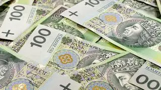 Straty Skarbu Państwa wyniosły ponad 95 mln zł