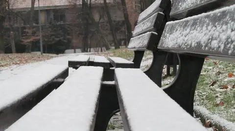 Wywieźli z domu zwłoki matki i posadzili na ławce w parku, bo chcieli dalej pobierać jej rentę