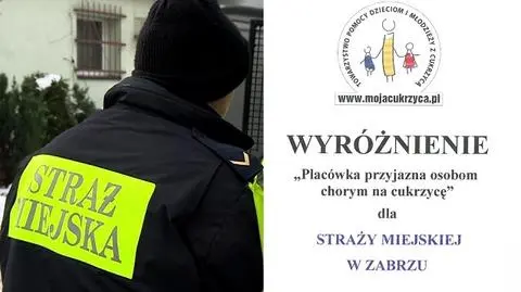 Wyróżnienie dla straży miejskiej w Zabrzu
