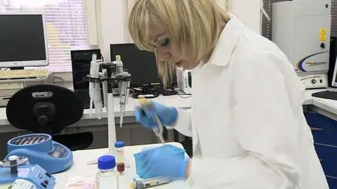 Obiecujące badania wrocławskich naukowców 