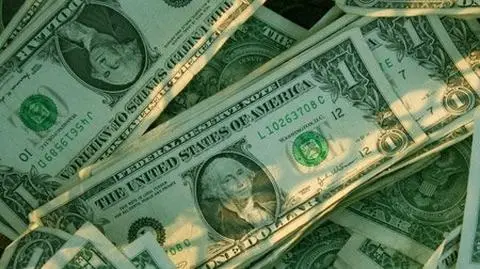 Zakopał 10 mln dolarów na polu czosnku