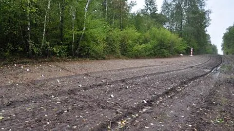Korczowa. Turcy złapani za zieloną granicą. Pomagał pies
