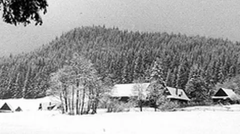 Opozycja na polanie