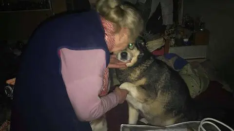 Pomogli właścicielce psów