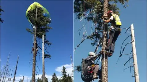 Paralotniarka utknęła na drzewie. Z pomocą pospieszyli ratownicy GOPR (wideo bez dźwięku)