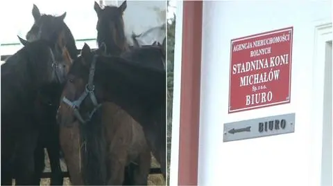 ANR podaje powody odwołania prezesów stadnin