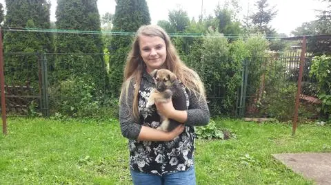 Nidzica: Psy wrzucone do worka