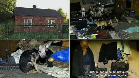 We wsi koło Opoczna rozegrał się dramat psów