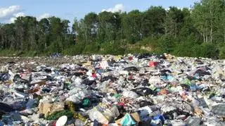 Nie sprecyzowano jakie odpady trafiły na wysypisko