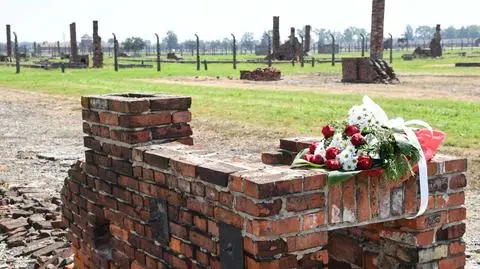 International Roma and Sinti Genocide Remembrance Day observed